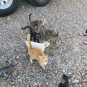 Meet your Posher, Bianca